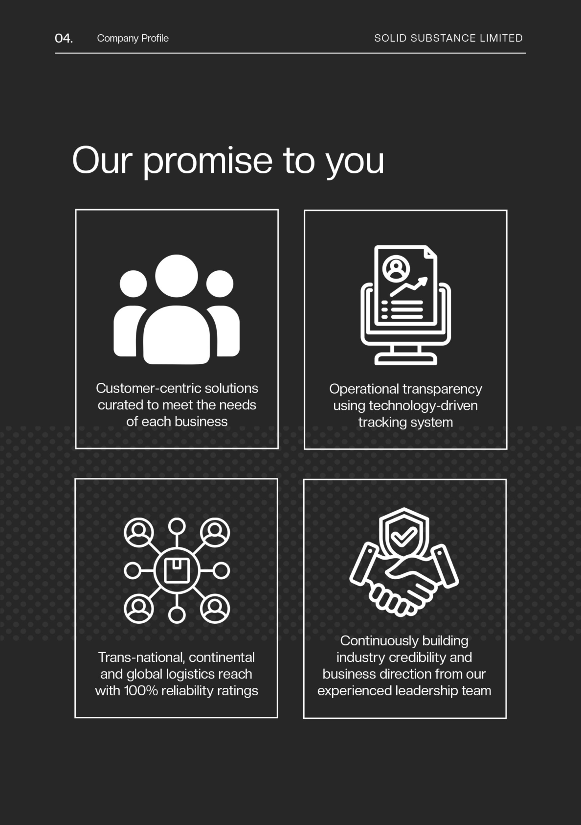 Solid Substance company profile excerpt describing its promise to clients