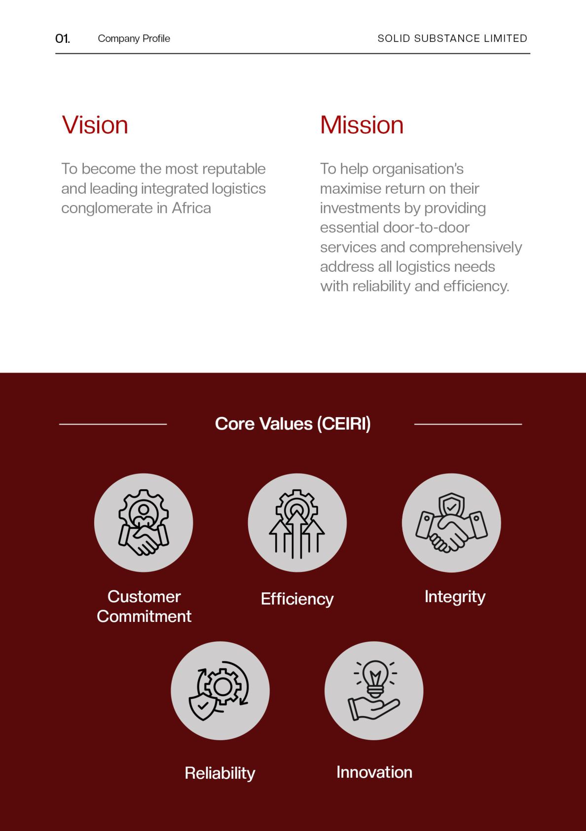Solid Substance company profile excerpt showing vision, mission, and values